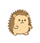 はじけるハリネズミ（個別スタンプ：2）