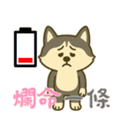 ハスキーの無気力日常 (漢字) Ver5（個別スタンプ：12）