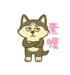 ハスキーの無気力日常 (漢字) Ver5（個別スタンプ：28）