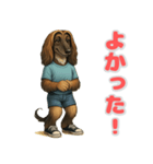 アフガンハウンドの喜怒哀楽スタンプ1（個別スタンプ：1）