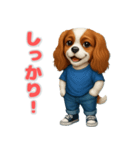 キャバリアの喜怒哀楽スタンプ1（個別スタンプ：10）