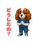 キャバリアの喜怒哀楽スタンプ1（個別スタンプ：13）