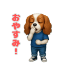 キャバリアの喜怒哀楽スタンプ1（個別スタンプ：16）