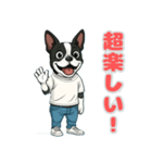 ボストンテリアの喜怒哀楽スタンプ1（個別スタンプ：4）