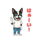 ボストンテリアの喜怒哀楽スタンプ1（個別スタンプ：6）