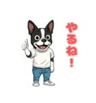 ボストンテリアの喜怒哀楽スタンプ1（個別スタンプ：8）