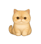 [アレンジ用]いとしのエキゾチックショート（個別スタンプ：1）