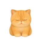 [アレンジ用]いとしのエキゾチックショート（個別スタンプ：5）