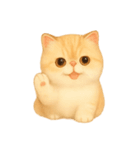 [アレンジ用]いとしのエキゾチックショート（個別スタンプ：8）