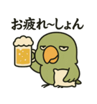 日常使い出来る目つきの悪いインコ（個別スタンプ：3）