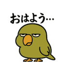 日常使い出来る目つきの悪いインコ（個別スタンプ：5）