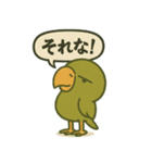 日常使い出来る目つきの悪いインコ（個別スタンプ：22）