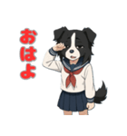 ステラちゃん(ボーダーコリー)の日常（個別スタンプ：1）