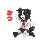 ステラちゃん(ボーダーコリー)の日常（個別スタンプ：2）