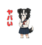 ステラちゃん(ボーダーコリー)の日常（個別スタンプ：3）