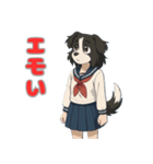 ステラちゃん(ボーダーコリー)の日常（個別スタンプ：6）