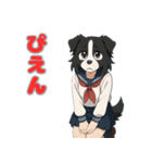 ステラちゃん(ボーダーコリー)の日常（個別スタンプ：8）