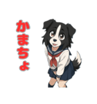 ステラちゃん(ボーダーコリー)の日常（個別スタンプ：9）