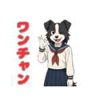 ステラちゃん(ボーダーコリー)の日常（個別スタンプ：10）