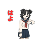 ステラちゃん(ボーダーコリー)の日常（個別スタンプ：11）