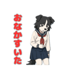 ステラちゃん(ボーダーコリー)の日常（個別スタンプ：14）