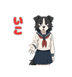 ステラちゃん(ボーダーコリー)の日常（個別スタンプ：15）