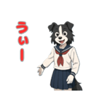 ステラちゃん(ボーダーコリー)の日常（個別スタンプ：16）