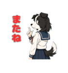 ステラちゃん(ボーダーコリー)の日常（個別スタンプ：18）