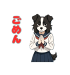 ステラちゃん(ボーダーコリー)の日常（個別スタンプ：19）