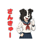 ステラちゃん(ボーダーコリー)の日常（個別スタンプ：20）