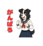 ステラちゃん(ボーダーコリー)の日常（個別スタンプ：21）