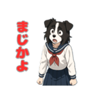 ステラちゃん(ボーダーコリー)の日常（個別スタンプ：22）