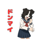 ステラちゃん(ボーダーコリー)の日常（個別スタンプ：24）