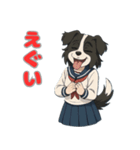 ステラちゃん(ボーダーコリー)の日常（個別スタンプ：27）