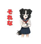 ステラちゃん(ボーダーコリー)の日常（個別スタンプ：30）