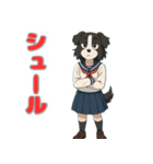 ステラちゃん(ボーダーコリー)の日常（個別スタンプ：33）