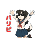 ステラちゃん(ボーダーコリー)の日常（個別スタンプ：34）