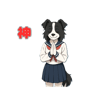 ステラちゃん(ボーダーコリー)の日常（個別スタンプ：35）