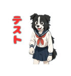 ステラちゃん(ボーダーコリー)の日常（個別スタンプ：38）