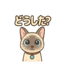 トンキニーズの？（個別スタンプ：2）