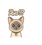 トンキニーズの？（個別スタンプ：3）