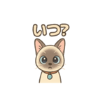 トンキニーズの？（個別スタンプ：4）
