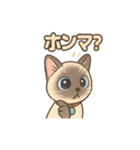 トンキニーズの？（個別スタンプ：5）
