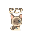 トンキニーズの？（個別スタンプ：6）