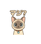 トンキニーズの？（個別スタンプ：8）