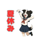 ステラちゃん(ボーダーコリー)の日々2（個別スタンプ：1）