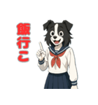 ステラちゃん(ボーダーコリー)の日々2（個別スタンプ：2）