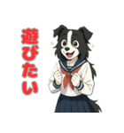 ステラちゃん(ボーダーコリー)の日々2（個別スタンプ：3）