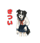 ステラちゃん(ボーダーコリー)の日々2（個別スタンプ：4）