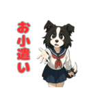 ステラちゃん(ボーダーコリー)の日々2（個別スタンプ：5）